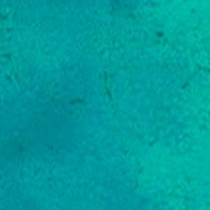 Meet your Posher, India